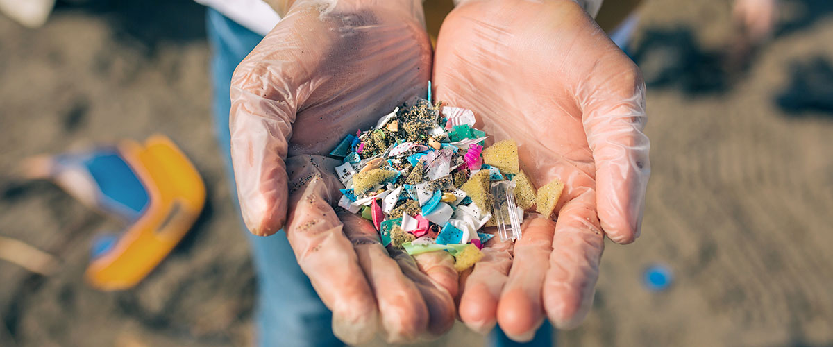 Microplásticos en la comida, ¿un riesgo para la inocuidad de los alimentos?